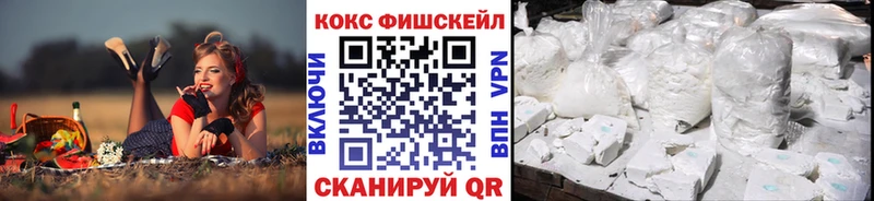 COCAIN Fish Scale  Купить закладки  Среднеуральск 